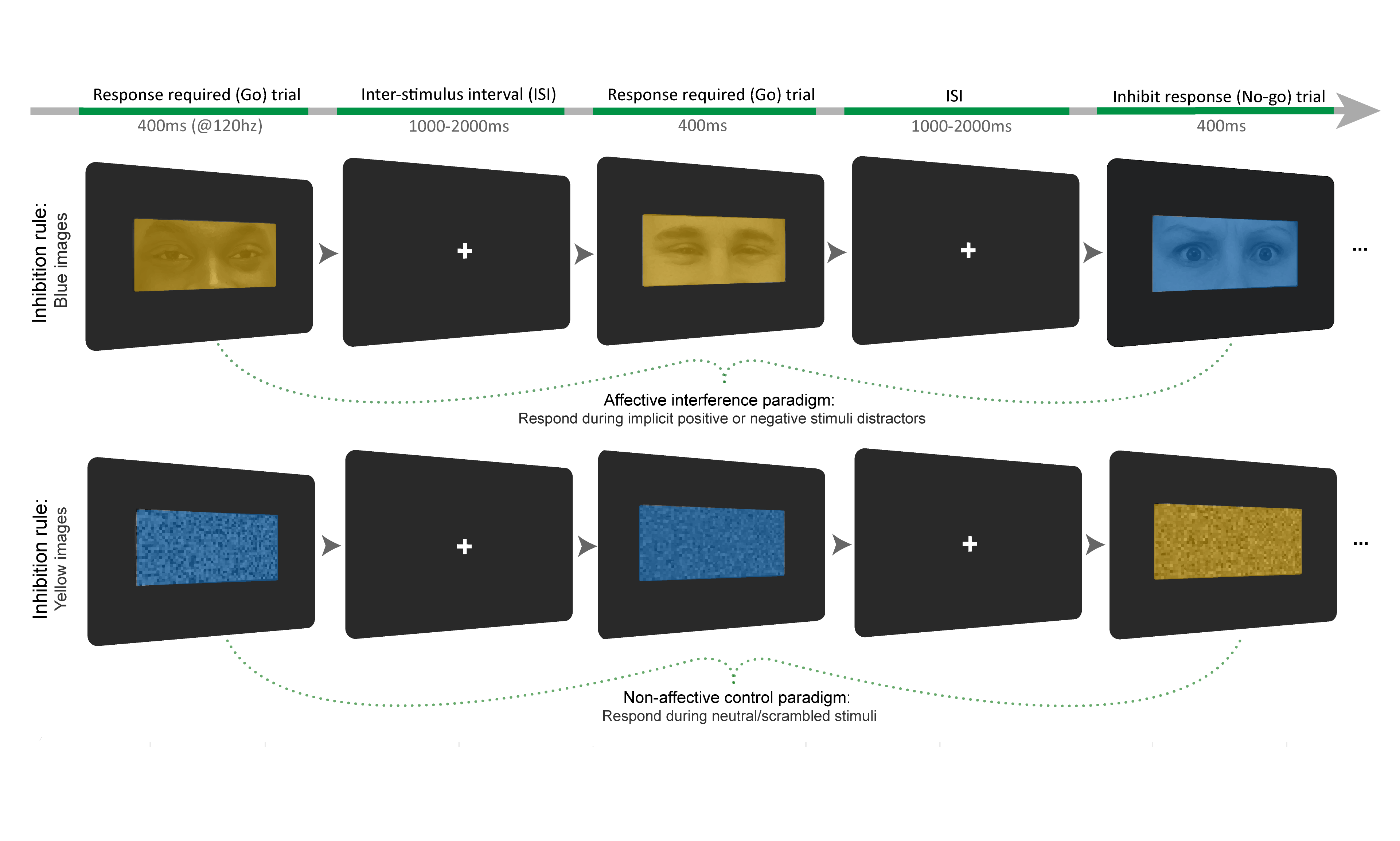 Illustration of behavioural inhibition task flow. From Colwell et al. 2024.